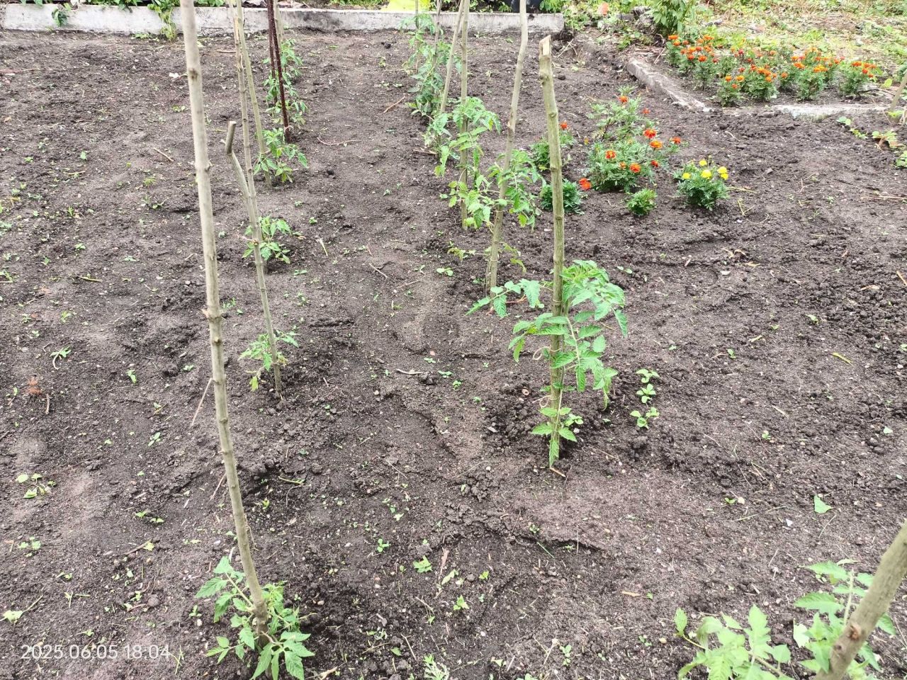 Działka rod Wrocław Śródmieście, ul. Klecińska. Zdjęcie 8