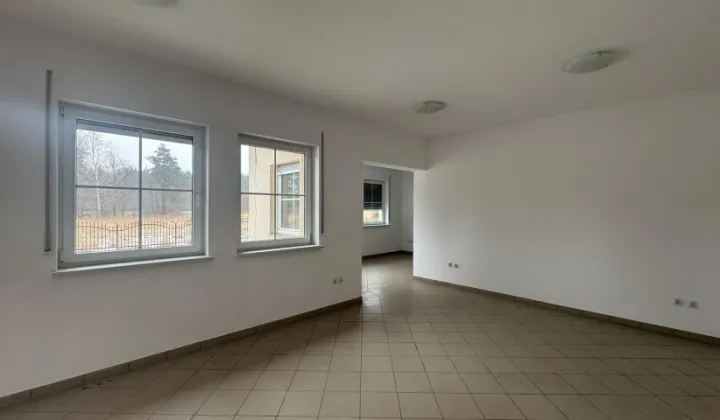 dom wolnostojący, 12 pokoi Brzeźnik