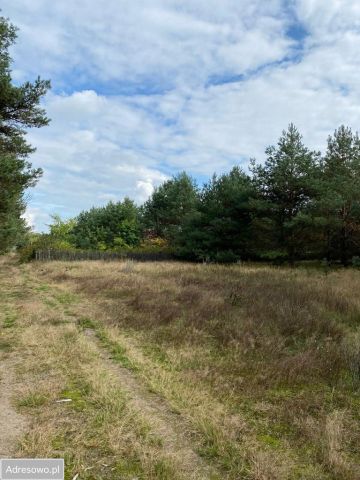Działka rekreacyjna Kwiejce. Zdjęcie 1