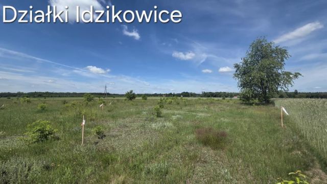 Działka rolna Idzikowice. Zdjęcie 4