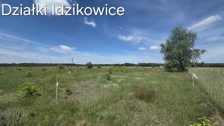 Działka rolna Idzikowice. Zdjęcie 4