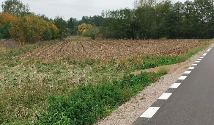 Działka rolno-budowlana Słomków, ul. Główna