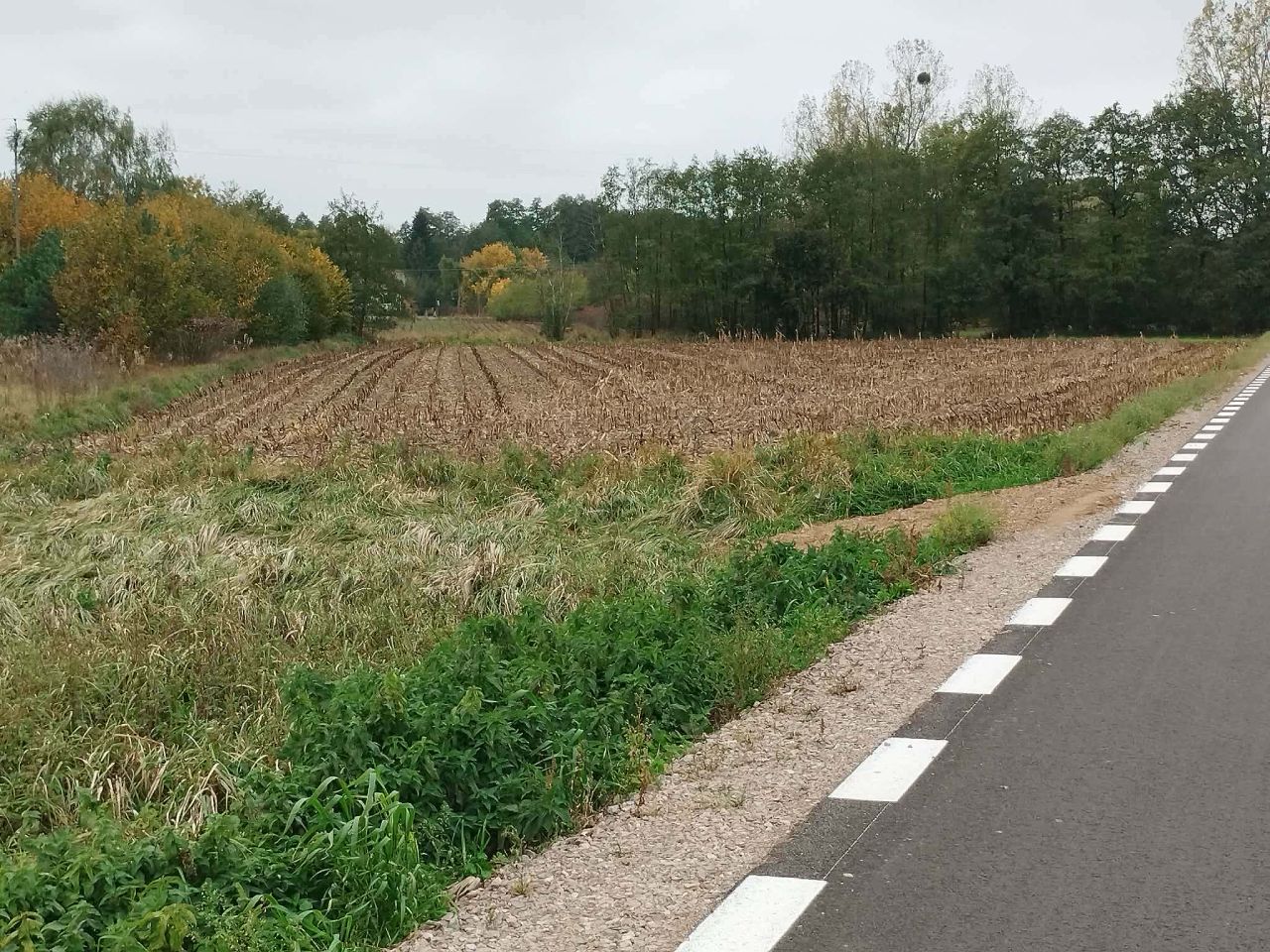 Działka rolno-budowlana Słomków, ul. Główna. Zdjęcie 1