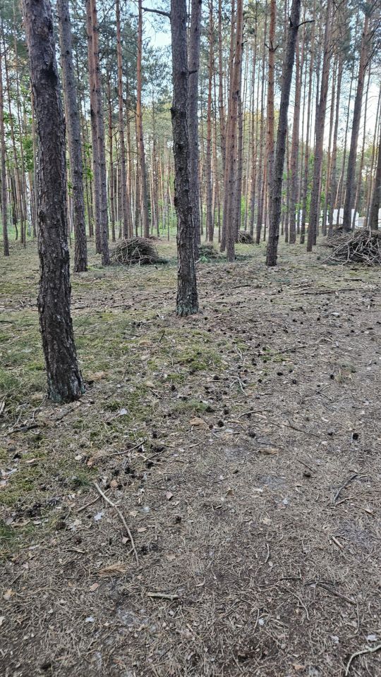 Działka budowlana Solec Kujawski, ul. Garbary. Zdjęcie 10