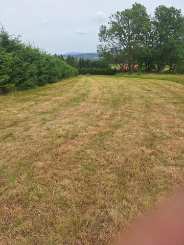 Działka rolno-budowlana Stara Białka. Zdjęcie 1