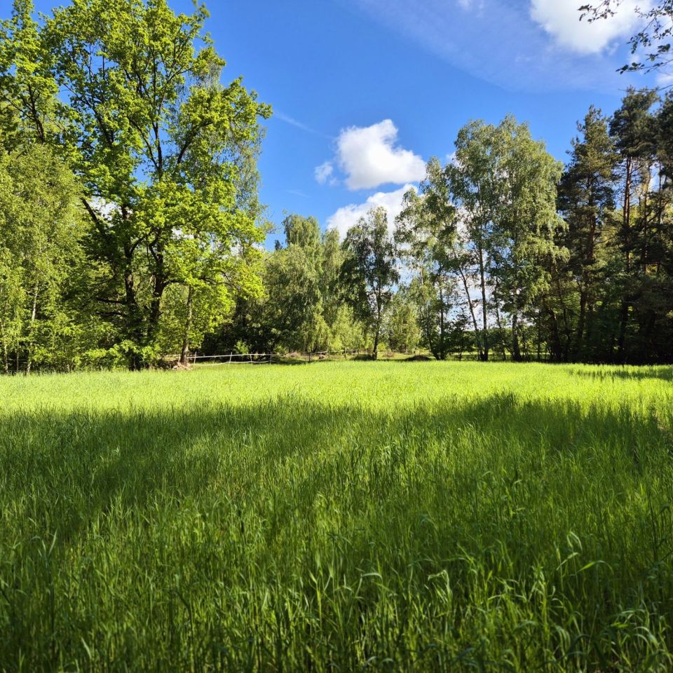 Działka budowlana Zduńska Wola Nowe Miasto. Zdjęcie 2