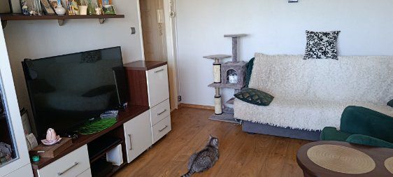 Mieszkanie 2-pokojowe Gdynia Witomino, ul. Narcyzowa. Zdjęcie 2