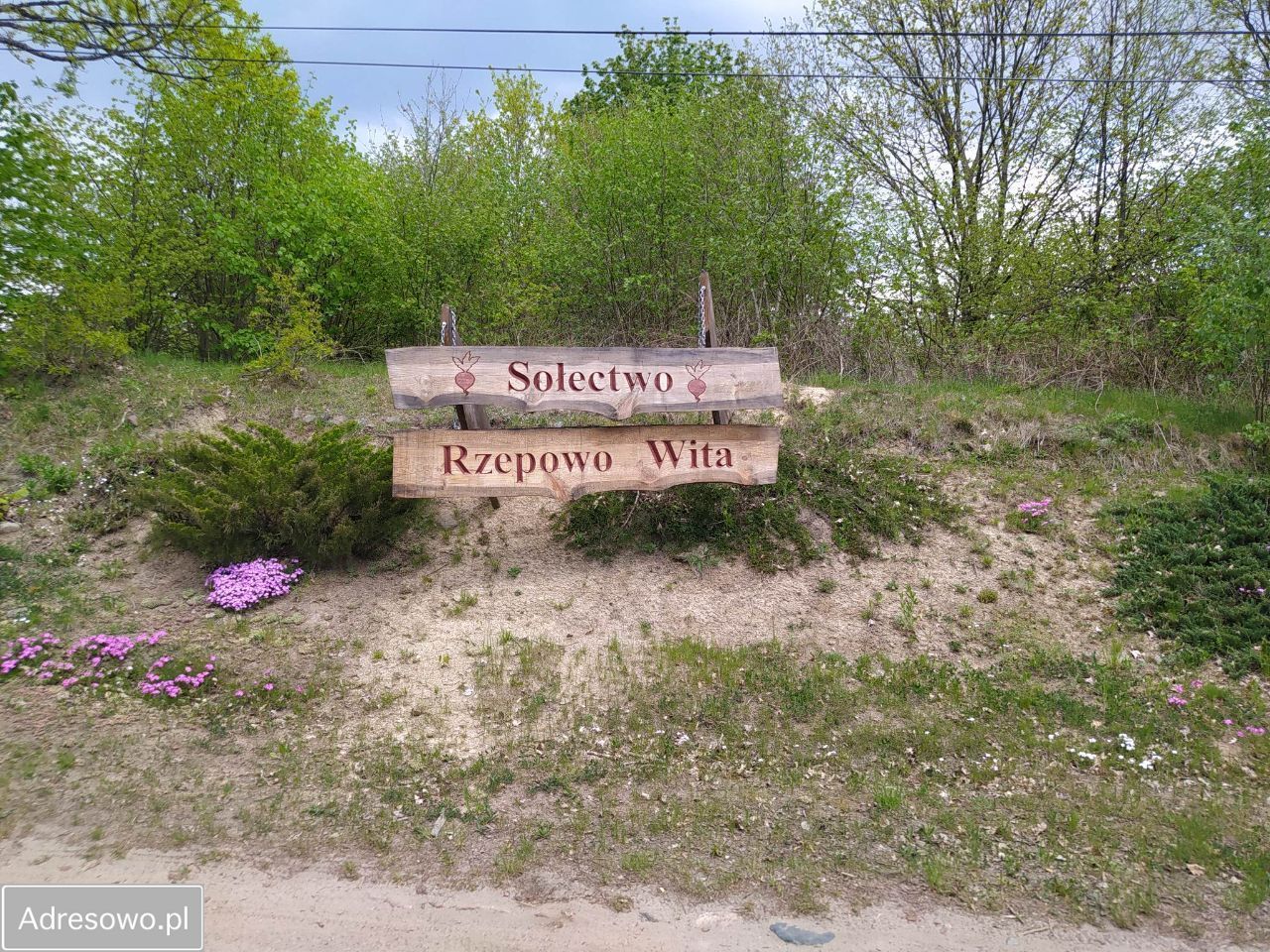 Działka rolno-budowlana Rzepowo. Zdjęcie 2