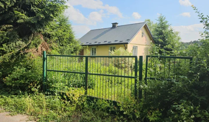 siedlisko, 3 pokoje Wólka Orłowska