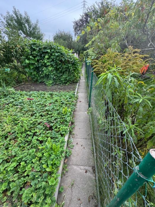 Działka rod Gdynia Mały Kack, ul. Przemyska. Zdjęcie 7