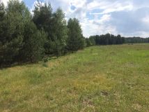 Działka rolna Plichta. Zdjęcie 1