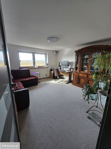 Mieszkanie 2-pokojowe Łokciowe. Zdjęcie 1