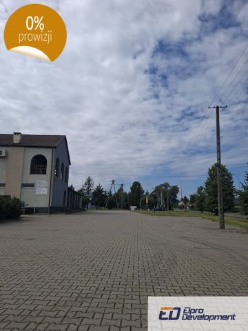 Lokal Wojcieszków, ul. gen. Franciszka Kleeberga. Zdjęcie 4
