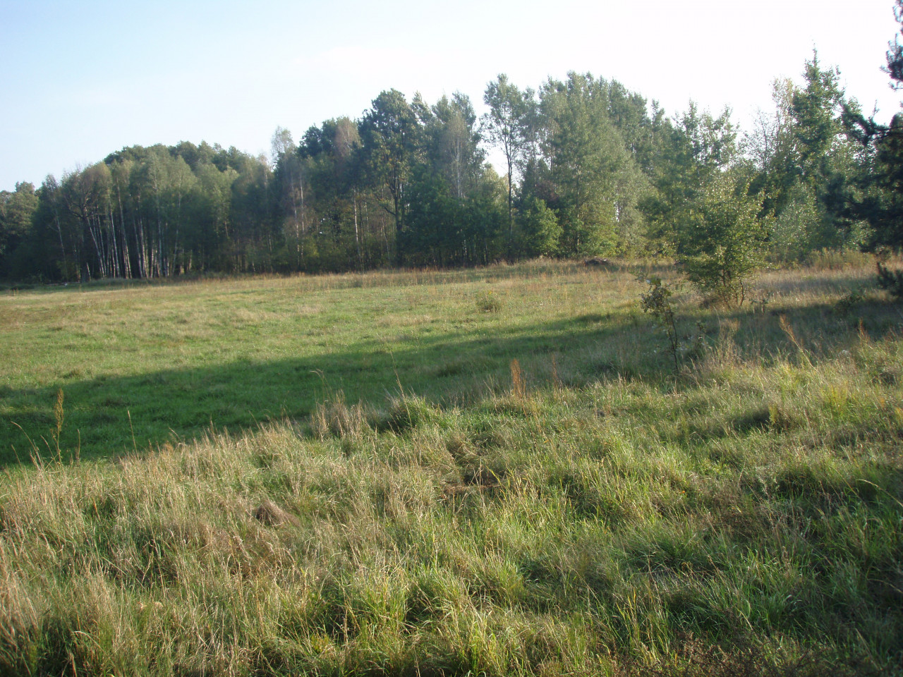 Działka budowlana Kołaków, Walecznych