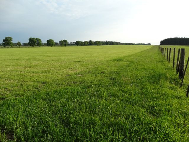 Działka rolna Niemierzyno. Zdjęcie 1
