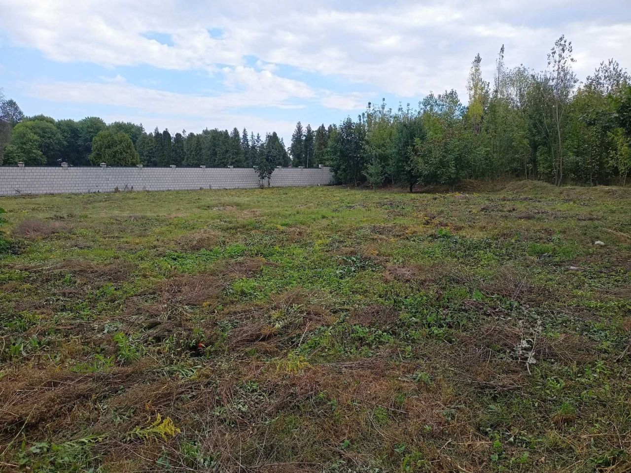 Działka inwestycyjna Siedlce Centrum, ul. Kazimierza Przerwy-Tetmajera. Zdjęcie 5