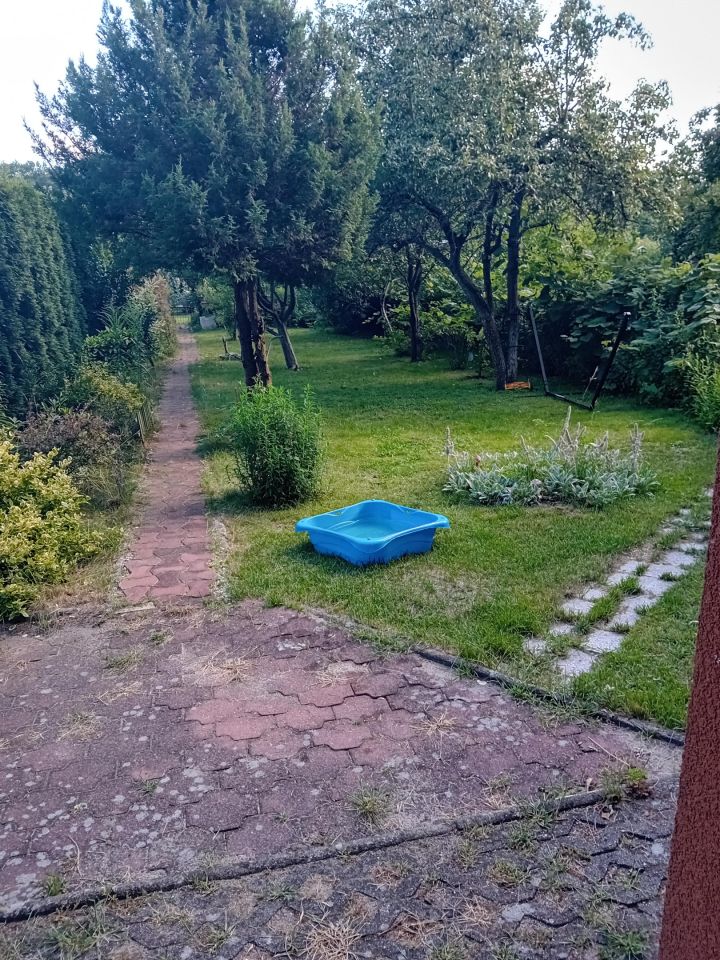 Działka rod Zielona Góra, ul. Osiedle Pomorskie. Zdjęcie 6