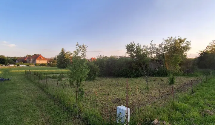 Działka rod Żary, ul. Pszenna