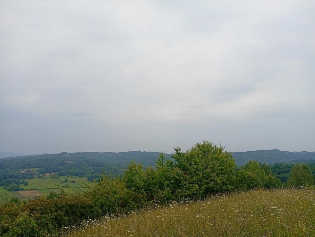 Działka rolna Domaradz. Zdjęcie 4