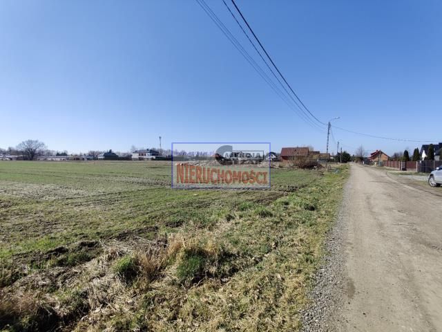Działka budowlana Królewiec. Zdjęcie 7