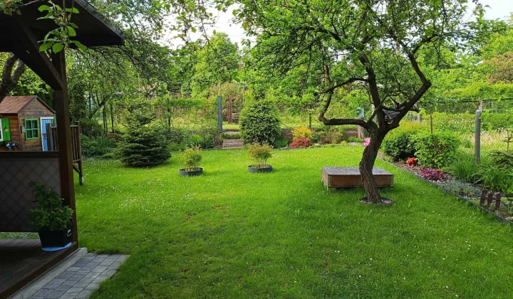 Działka rekreacyjna Katowice Koszutka, ul. Brzozowa