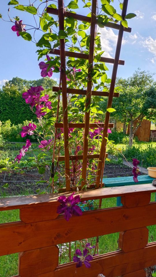 Działka rod Maruny. Zdjęcie 2