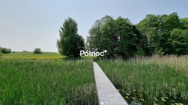 Działka rolna Cisy. Zdjęcie 11