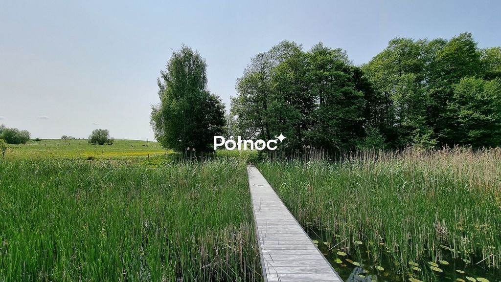 Działka rolna Cisy. Zdjęcie 11