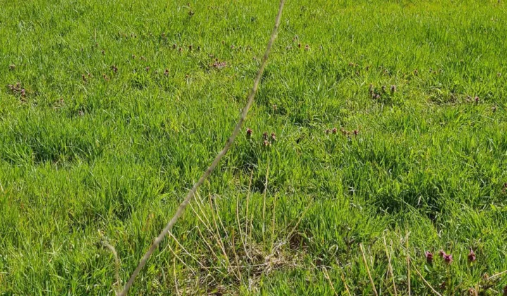 Działka budowlana Gryfino