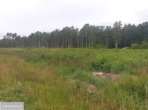 Działka budowlana Dziwnów, ul. Dziwna. Zdjęcie 1