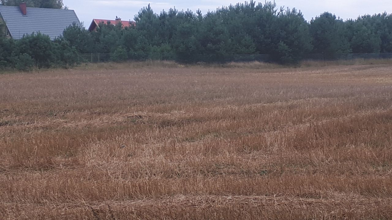 Działka rekreacyjna Niesiołowice. Zdjęcie 2