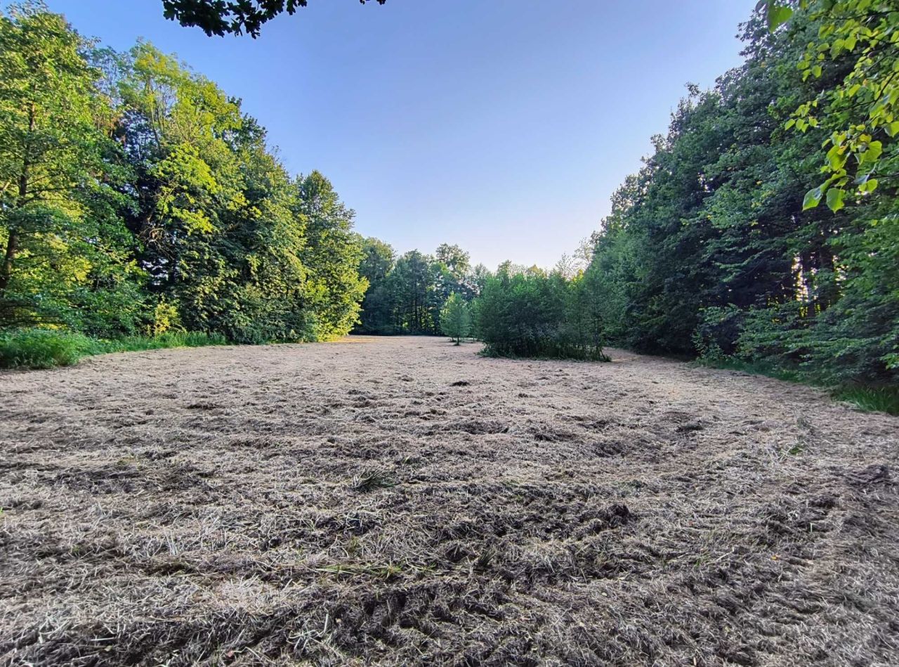 Działka rolna Witkowice. Zdjęcie 5