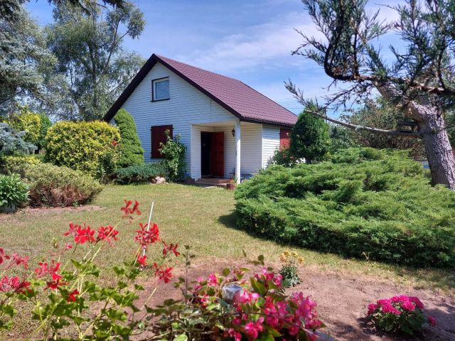 Działka siedliskowa Bolino. Zdjęcie 1