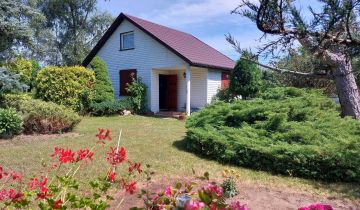 Działka siedliskowa Bolino