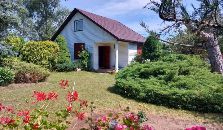 Działka siedliskowa Bolino