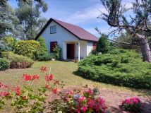 Działka siedliskowa Bolino