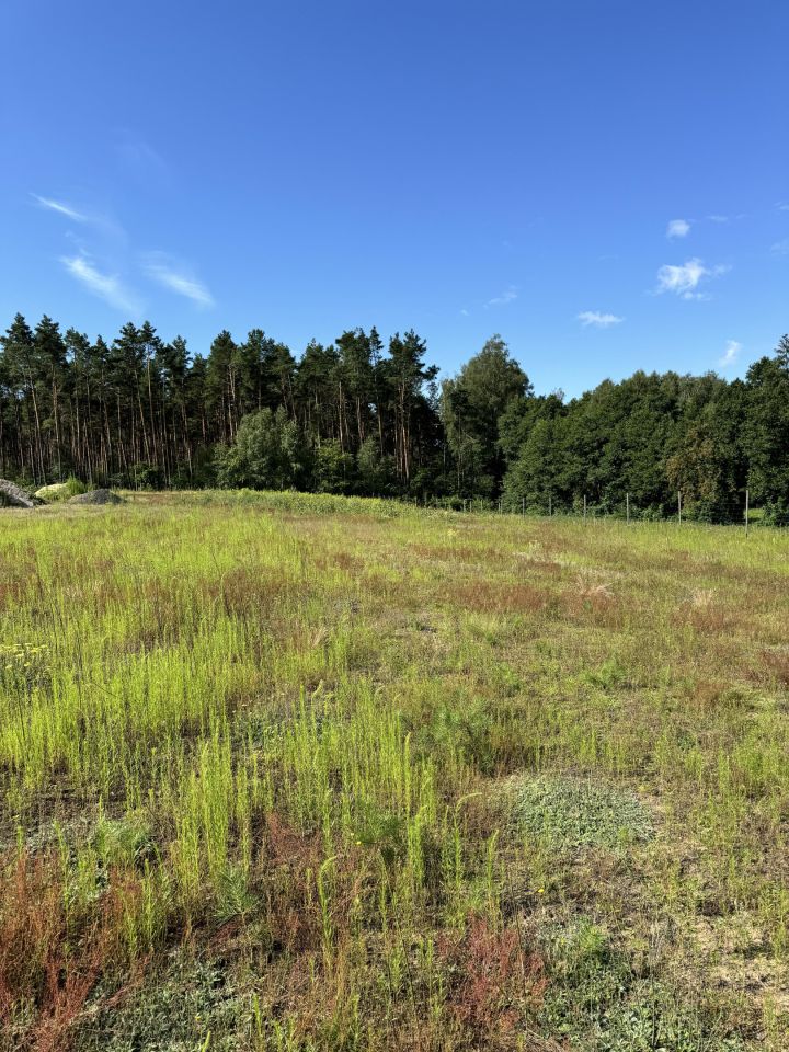 Działka rolno-budowlana Sulnówko, Sulnowko 18. Zdjęcie 3