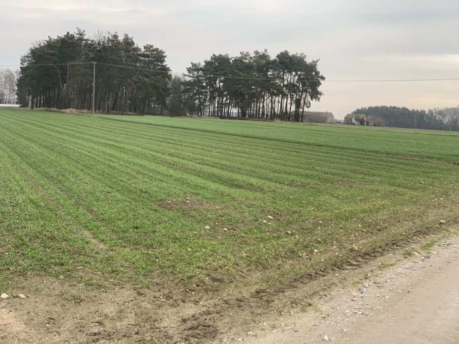 Działka rolno-budowlana Karnkowo. Zdjęcie 4