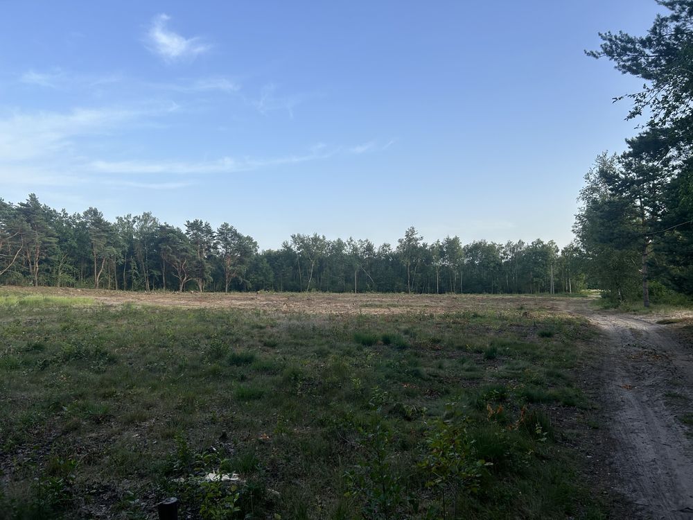 Działka budowlana Pólka-Raciąż. Zdjęcie 4