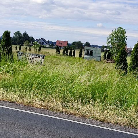 Działka budowlana Grodzisk Wielkopolski, ul. Nowotomyska. Zdjęcie 1