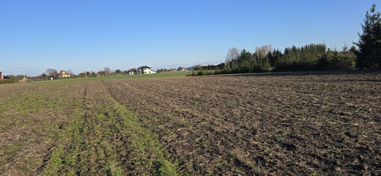 Działka budowlana Jacewo, ul. Bursztynowa. Zdjęcie 3