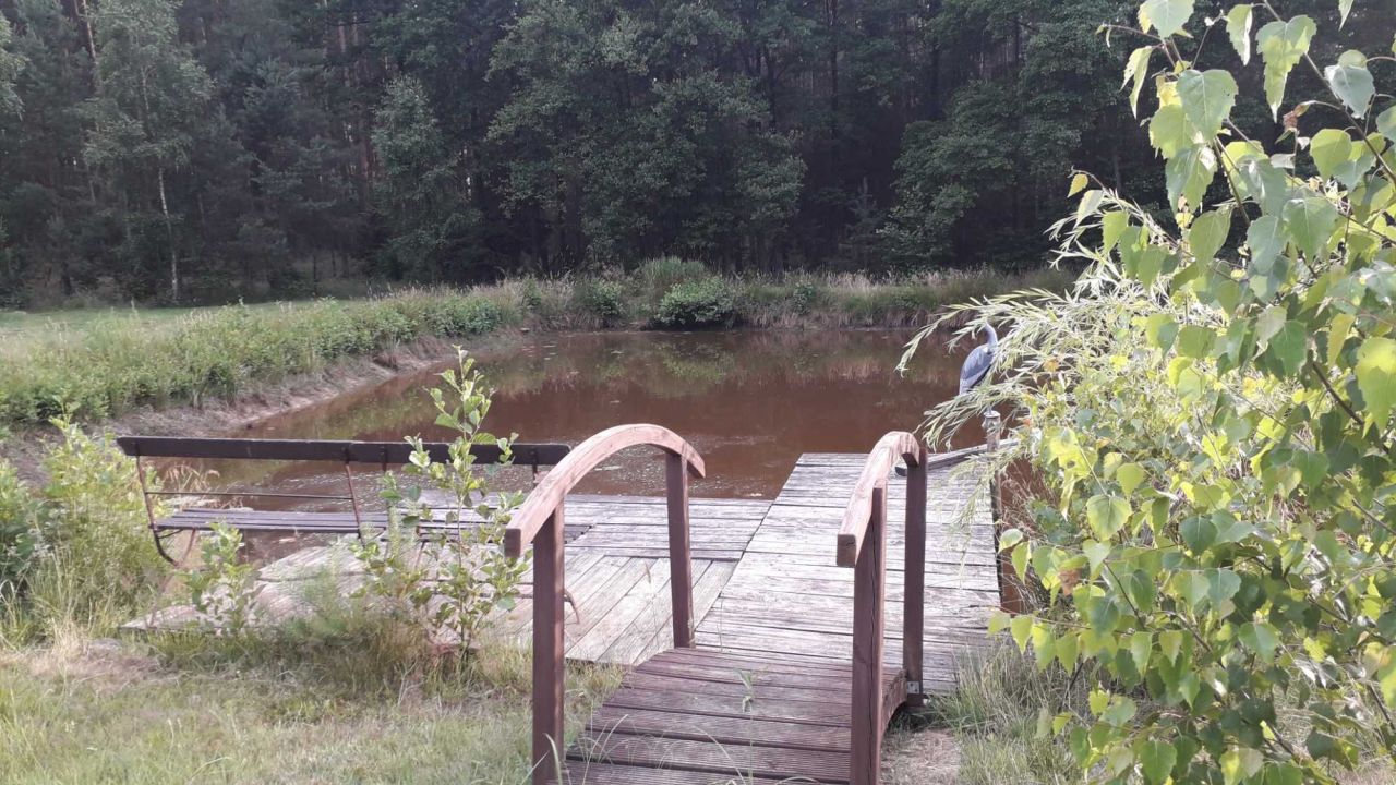 Działka Ostrzeszów. Zdjęcie 3