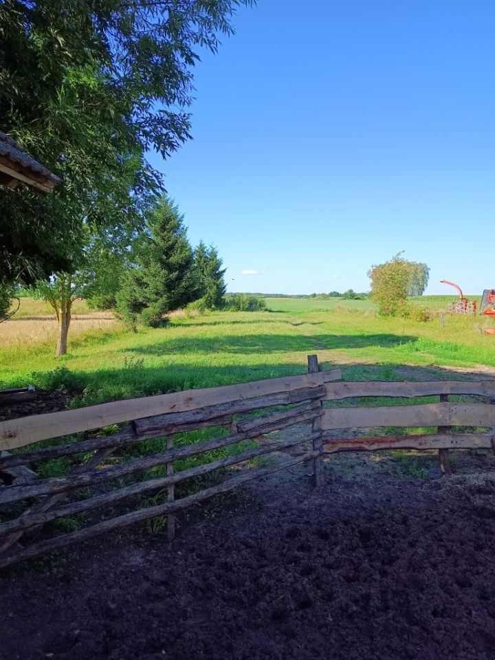 Działka siedliskowa Załuskie Kościelne. Zdjęcie 7