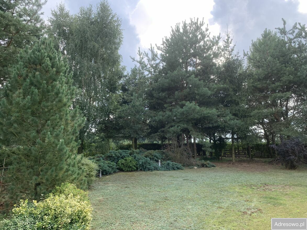 dom wolnostojący, 3 pokoje Popów-Kolonia. Zdjęcie 12