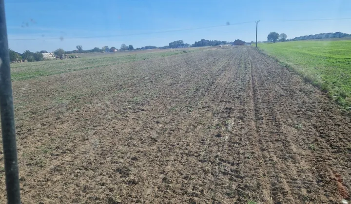 Działka budowlana Piotrowice, ul. Gilowa