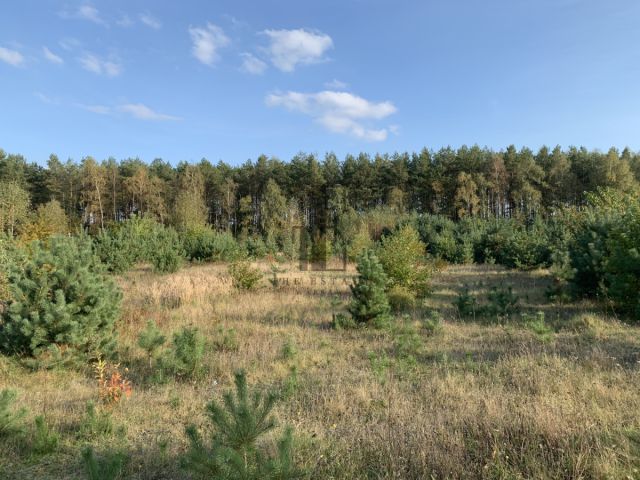 Działka rekreacyjna Gnojno. Zdjęcie 3