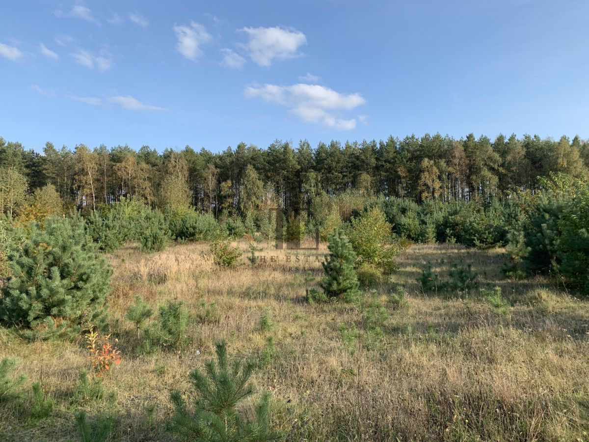 Działka rekreacyjna Gnojno. Zdjęcie 3