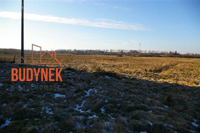 Działka budowlana Koszalin Raduszka, ul. Sasanek. Zdjęcie 10