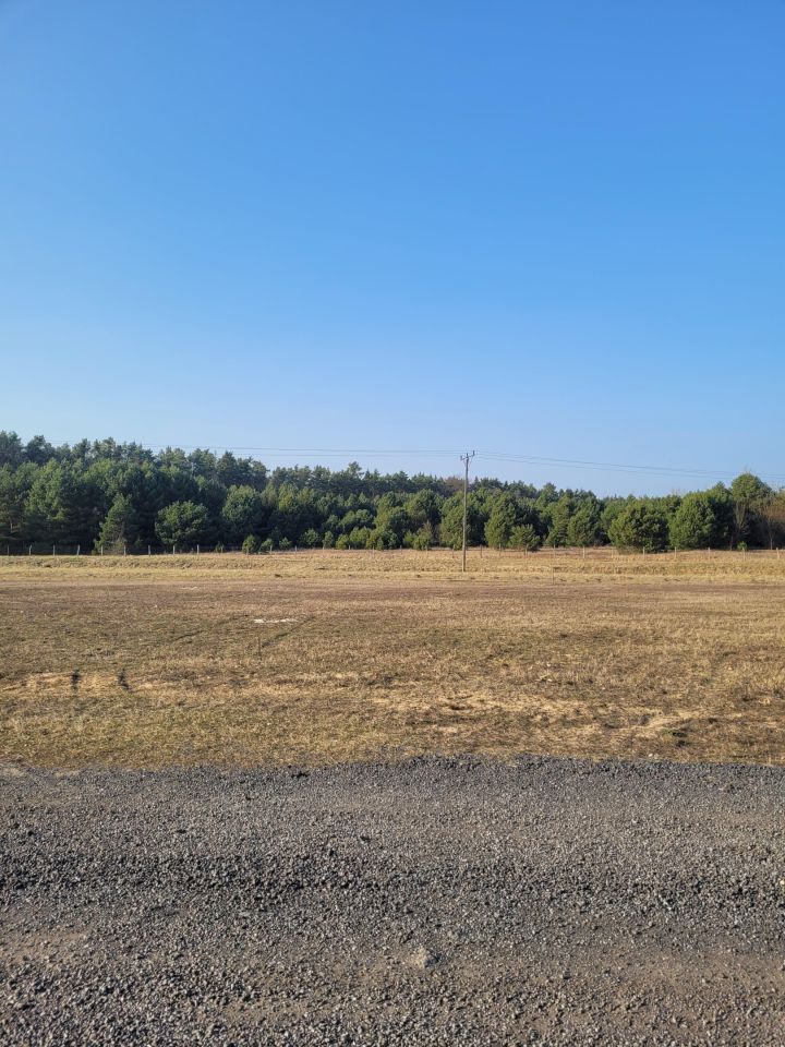 Działka budowlana Rzepinek, Krucza. Zdjęcie 6