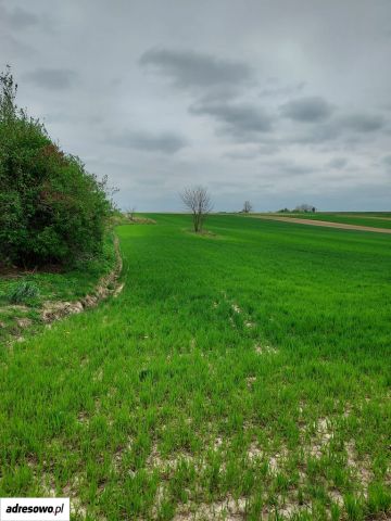 Działka budowlana Sułoszowa. Zdjęcie 1